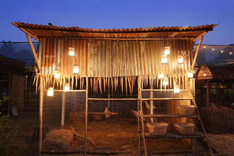 chicken-farm-light