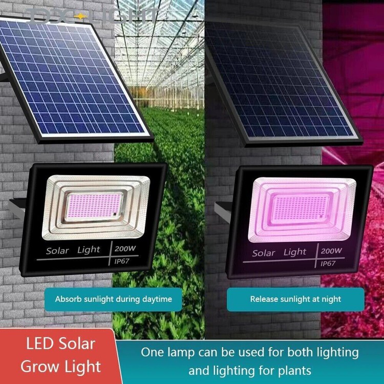 Solar Power Led Grow Light 2 Solar Power Led Grow Light 2