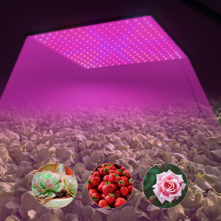 UV Veg Lamp For Indoor Hydroponic applications UV Veg Lamp For Indoor Hydroponic applications