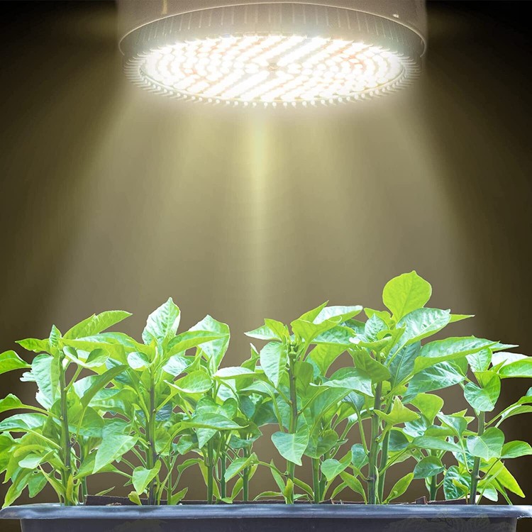 30W Plant Light Bulb 3 30W Plant Light Bulb 3