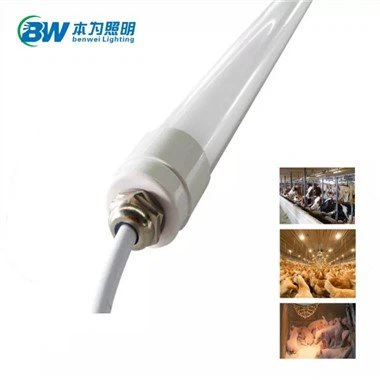 12v Dc Led Tube Light 4 Piedi