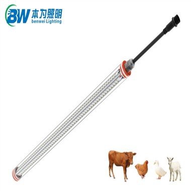 Tiġieġ Coop Dawl għall-Produzzjoni tal-bajd