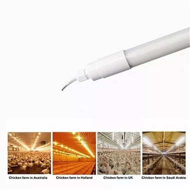 Dawl tad-Dar tat-Tjur