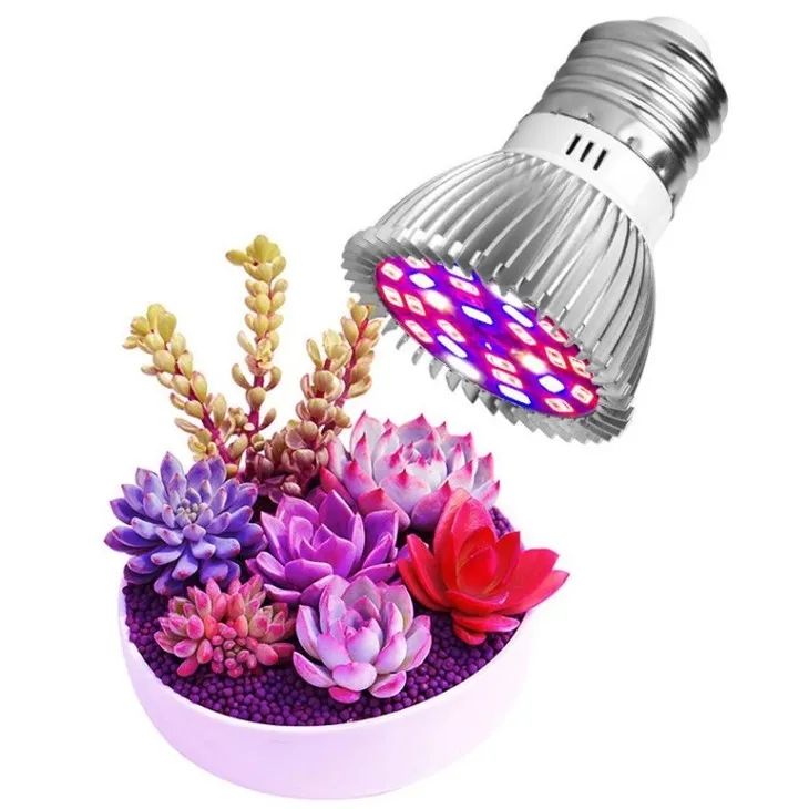brightest indoor light bulbs