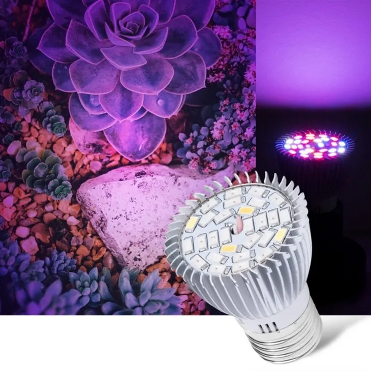 light bulb color spectrum