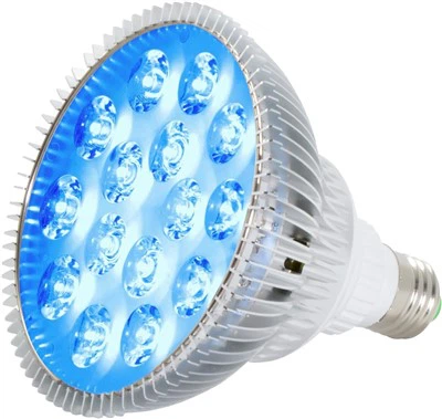 24W   Blu   LED   PAR38   Kabbar   Dawl