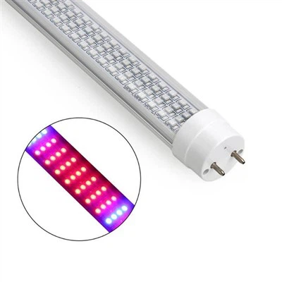 Kabbar Bulb Għall-Pjanti