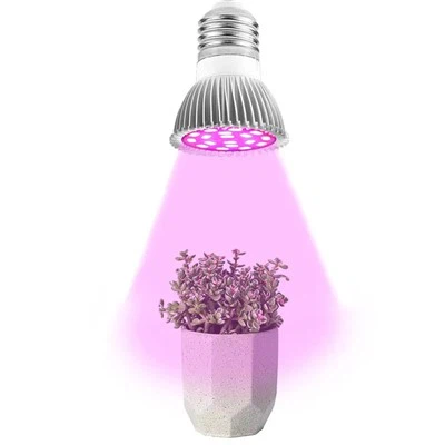 Bozza tad-Dawl tal-Pjanti ta 'Ġewwa