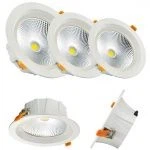 Nru Flicker COB Led Downlight