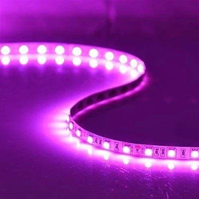 Pink Led Strixxa Flessibbli