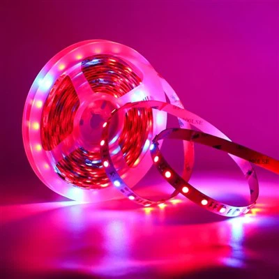 Dwal Led RGB Bil-Remote