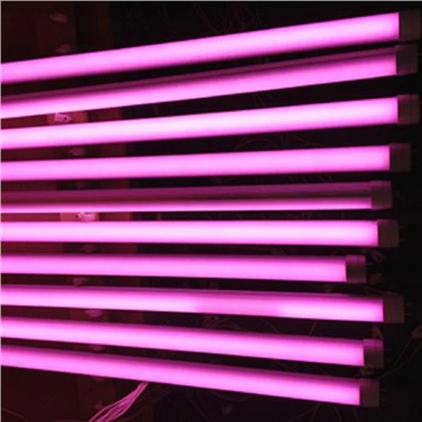 T8 Roża LED Laħam Tubu Bozza