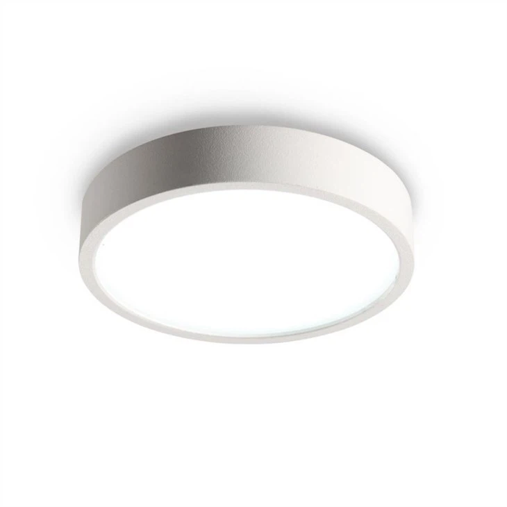 white surface mounted downlight