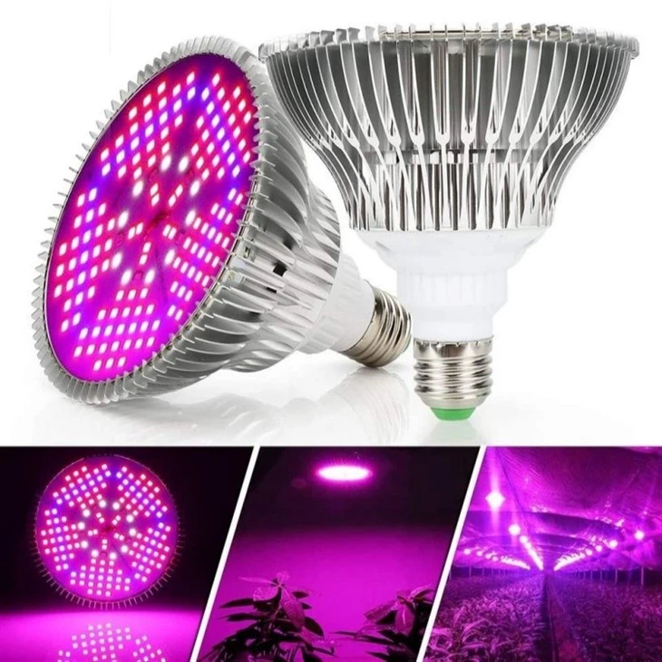 dimmable grow light bulb