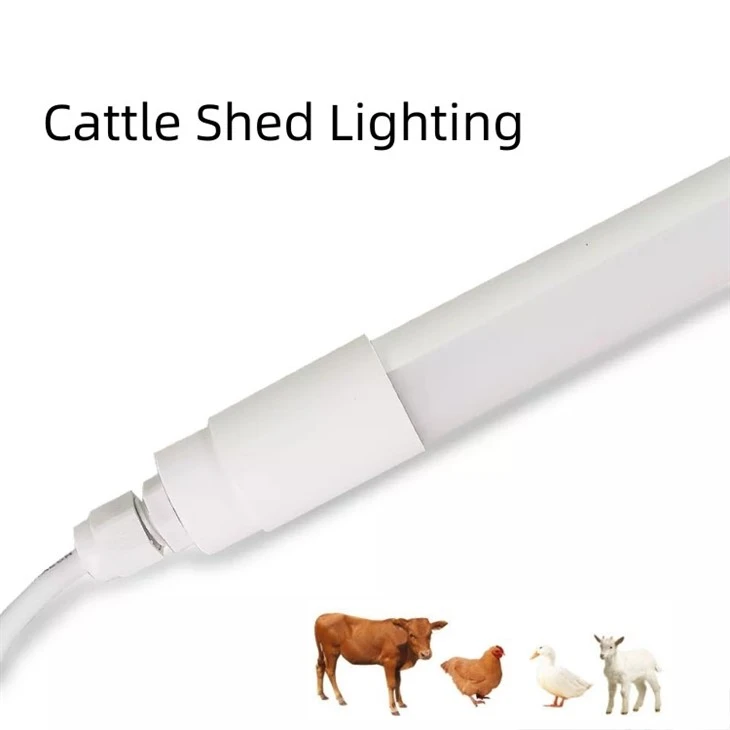 20w Chicken Coop Light 4000k