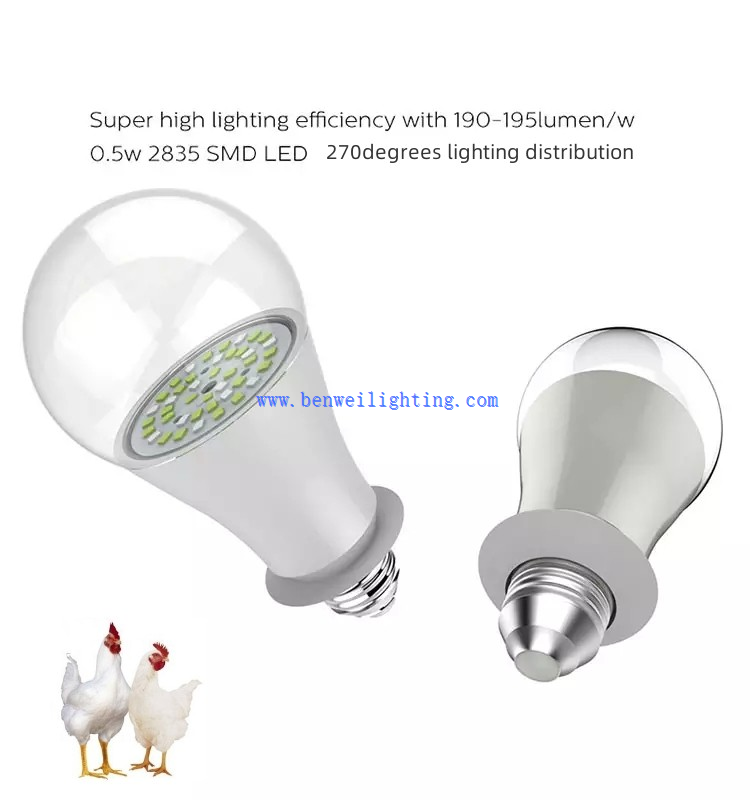 chicken lights led