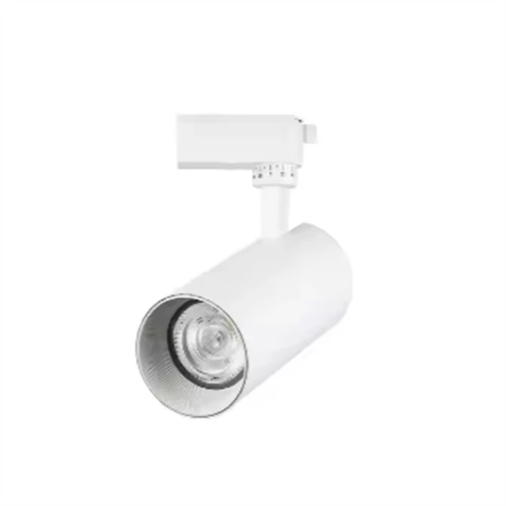 Adjustable Track Light Wall Art Exhibition