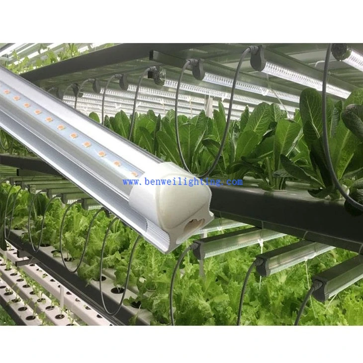 grow lights for plants