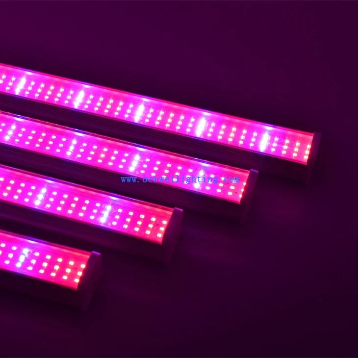 Indoor LED Plant Growing Light