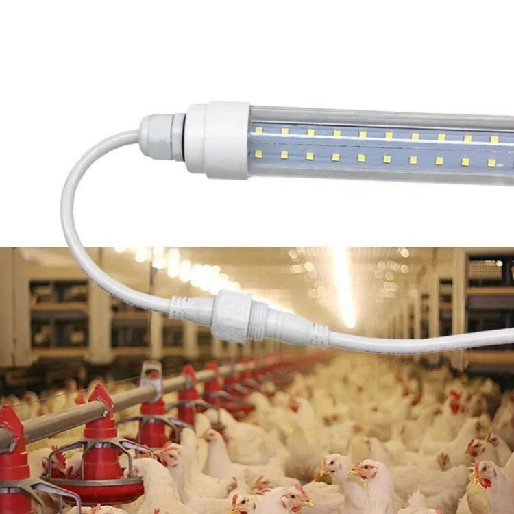 flicker free poultry light 2 flicker free poultry light 2