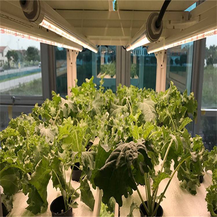 grow led tube installation 5