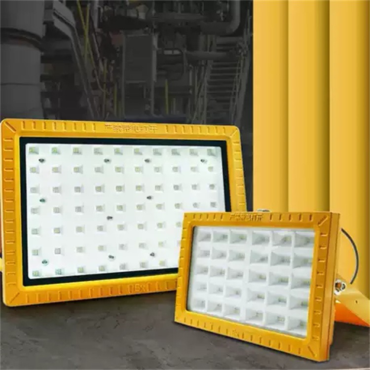 Explosion Proof Area Light 2