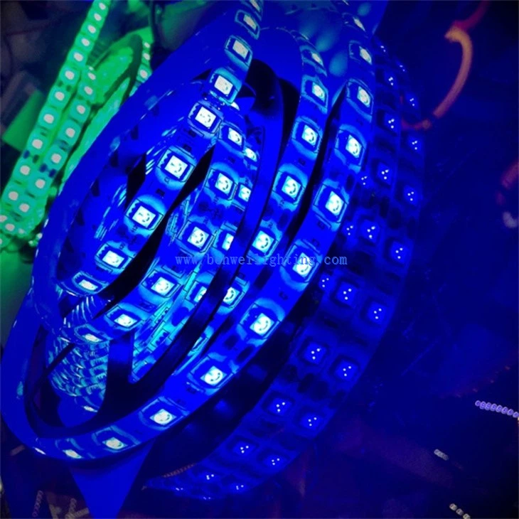 LED tape light (5)