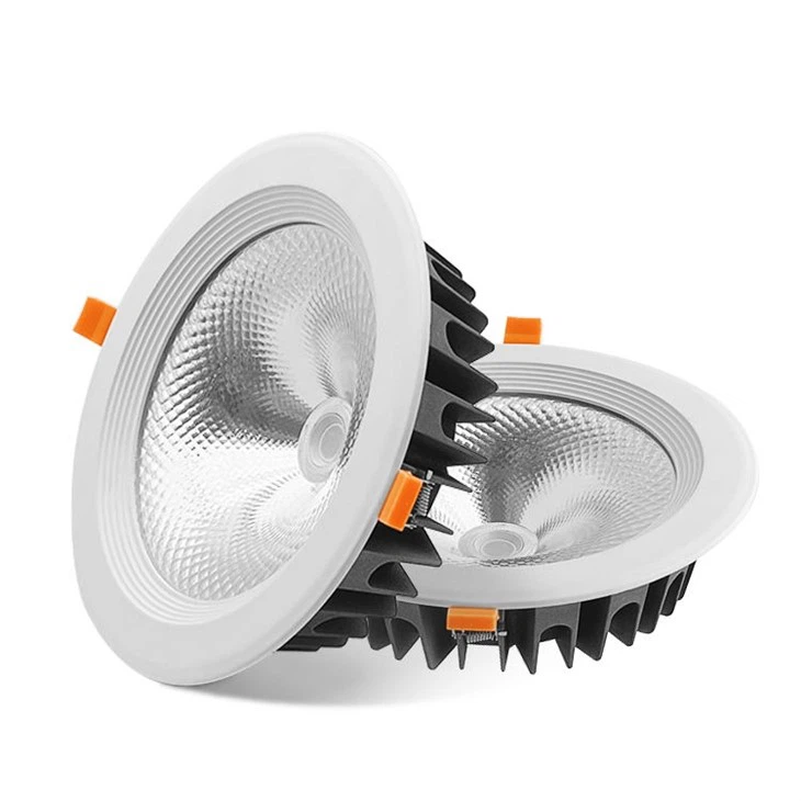 Multiple Input Voltage RGBW LED Downlight