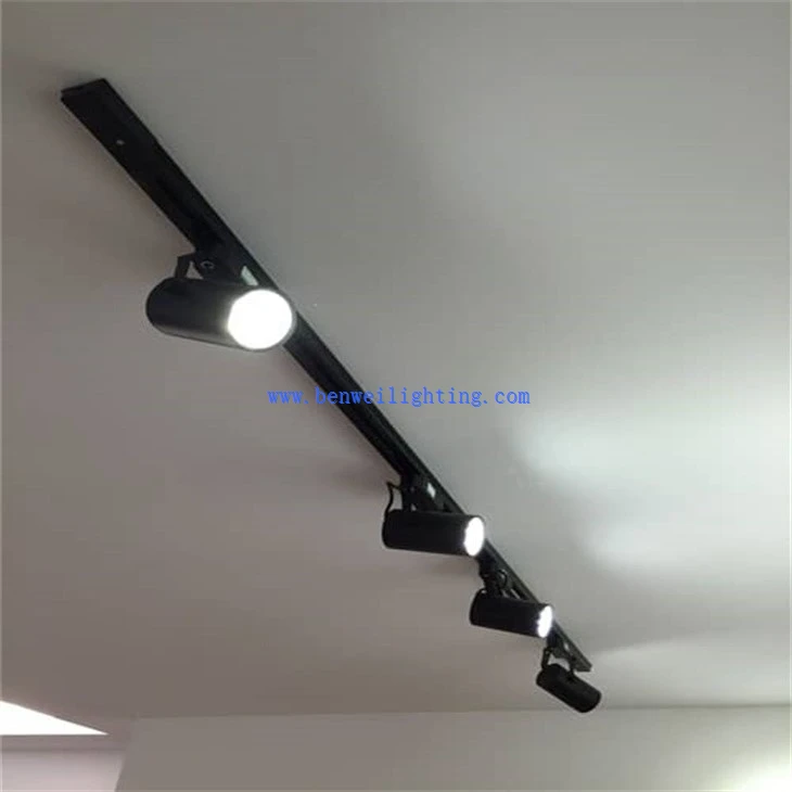 Open-Mounted Track Light (4)