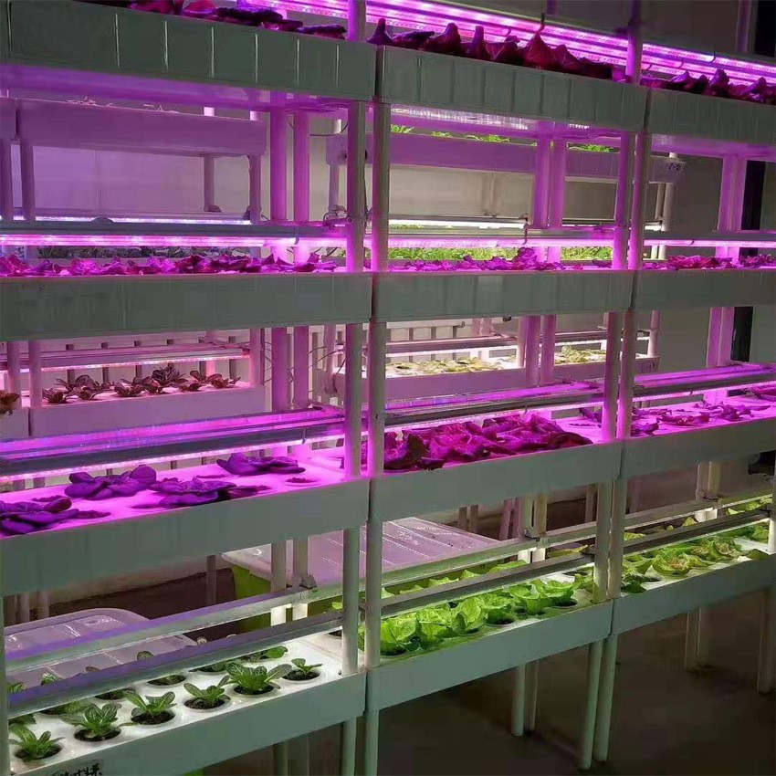 Grow T8A18 Grow T8A18