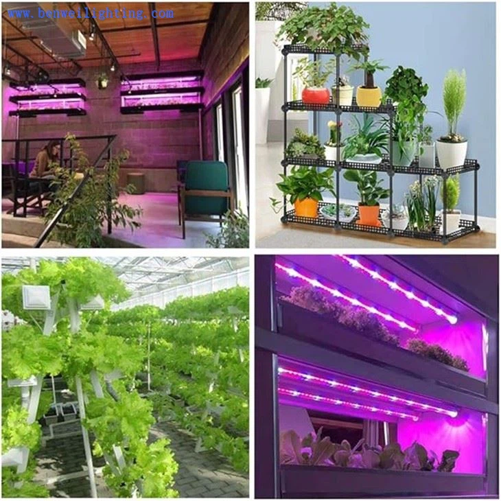 led plant grow light