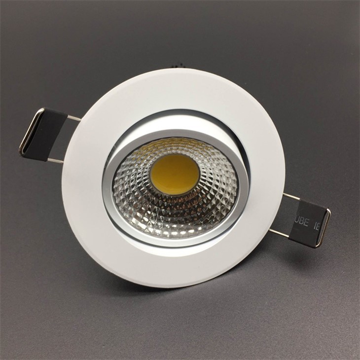 White Housing Downlight