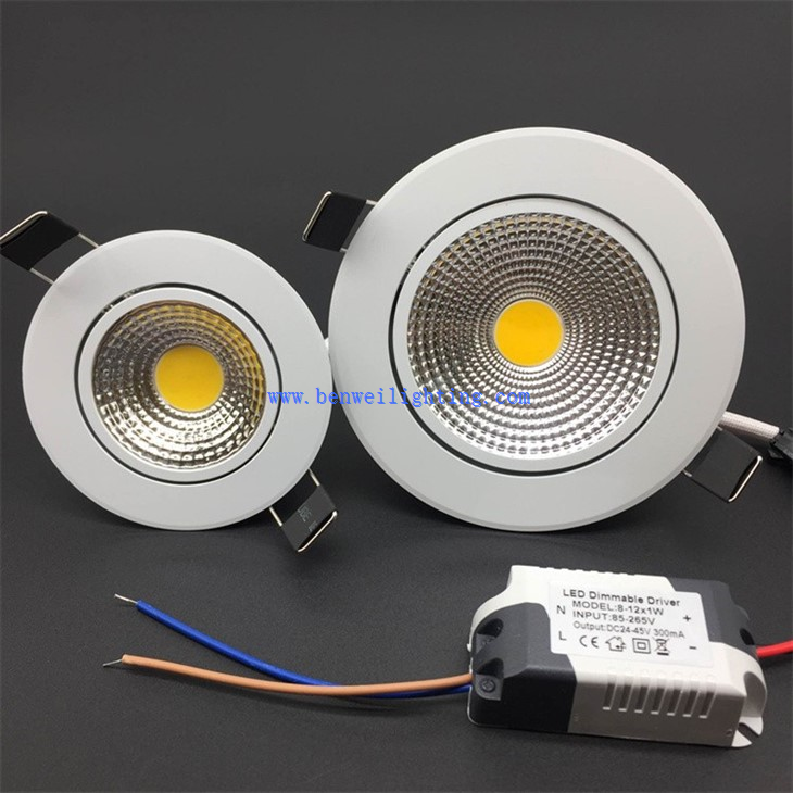 White Housing Downlight (2)