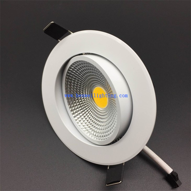 White Housing Downlight (1)